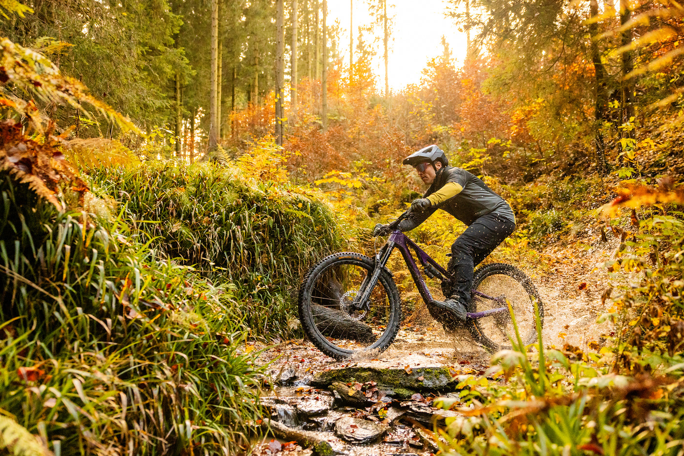 Niklas Stach mit seinem MTB im Herbst im Wald