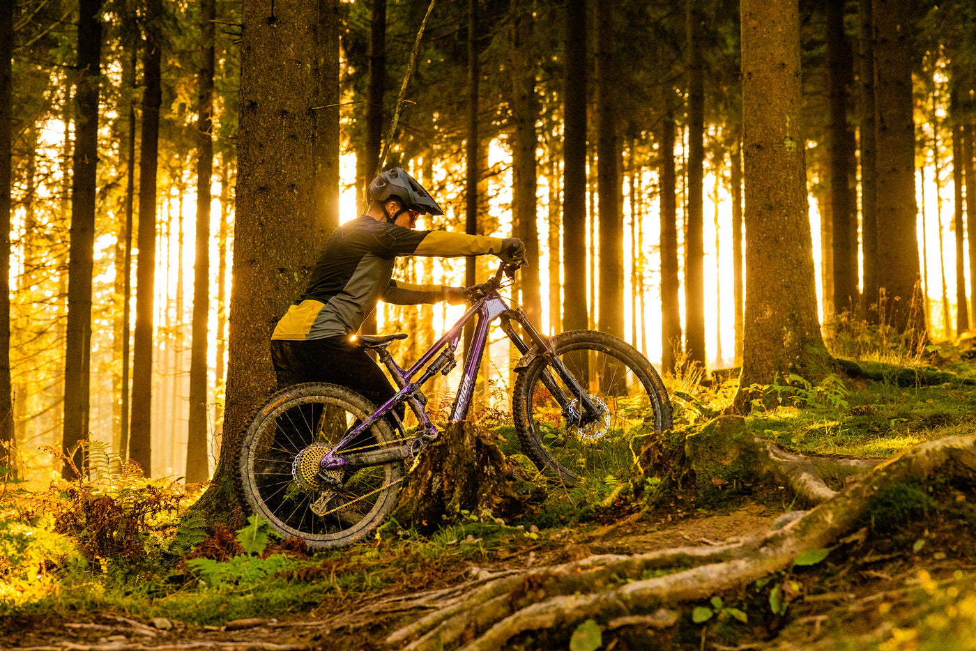 Niklas Stach mit seinem MTB im Wald